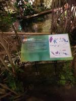 Albums/20200303-Kew Gardens/38